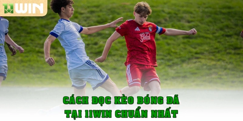 Cách đọc kèo bóng đá tại 11win chuẩn nhất