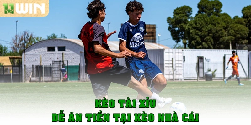 Kèo nhà cái – Cập nhật nhanh, chính xác tại 11win 3 Kèo tài xỉu dễ ăn tiền tại kèo nhà cái