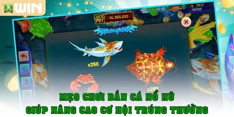 Mẹo chơi bắn cá nổ hũ giúp nâng cao cơ hội trúng thưởng